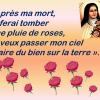 Sainte therese 3
